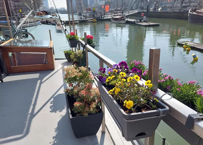 Boat Rooms On Water B&B Rotterdam
